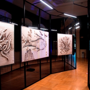 Круглый стол «Конкурс как формат показа современного декоративно-прикладного искусства» в РАХ
