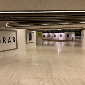 Выставка произведений Зураба Церетели во Дворце Наций (Женева)